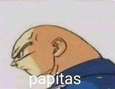 Descripción de la imagen