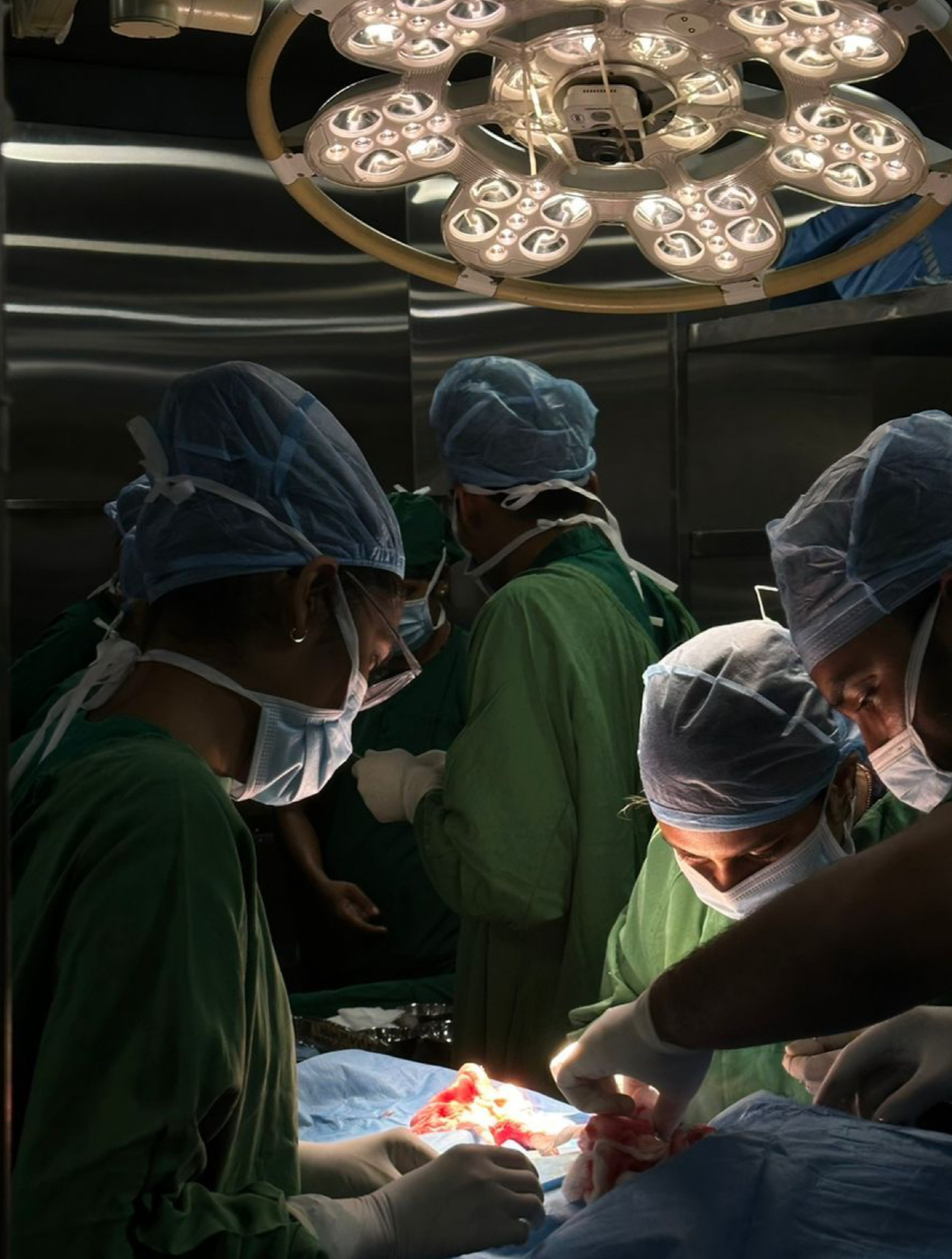 descripcion de la imagen