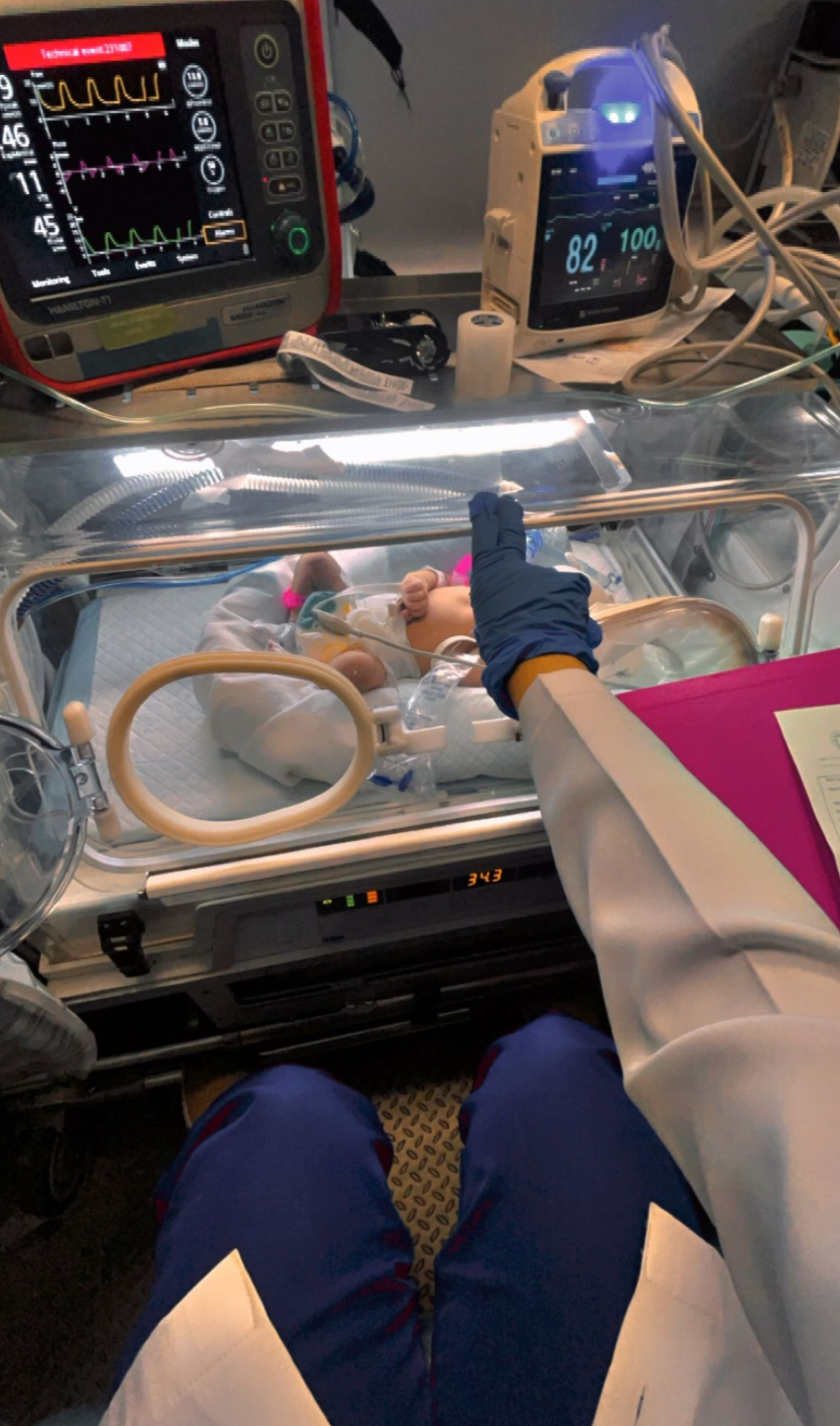 descripcion de la imagen