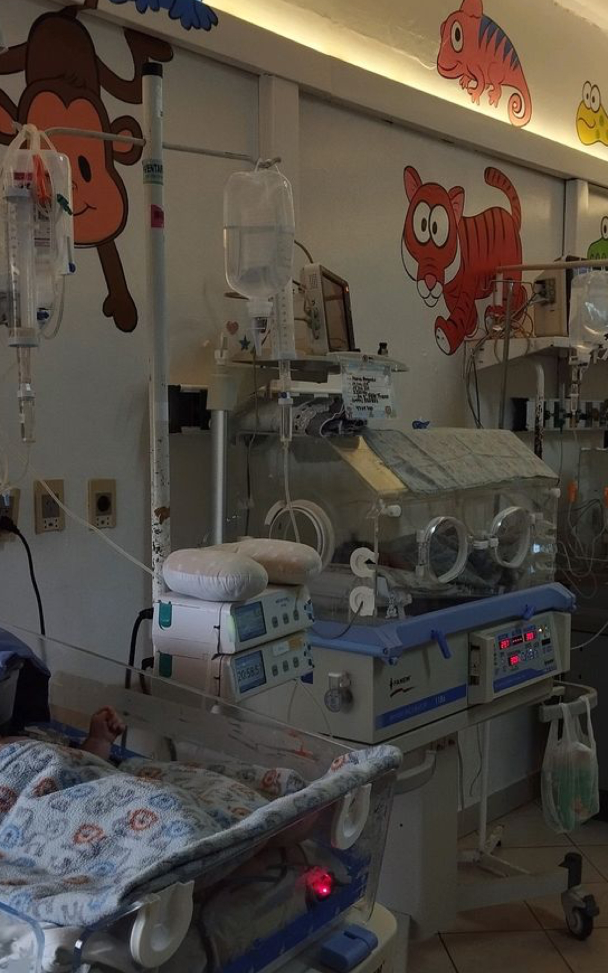 descripcion de la imagen